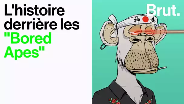 NFT : l’histoire derrière les “Bored Apes”