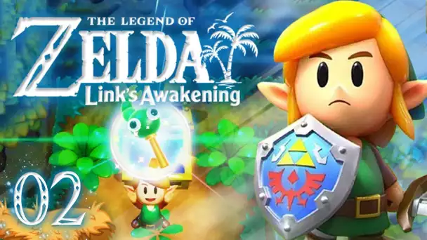 Zelda Link's Awakening HD : La forêt enchantée ! #02