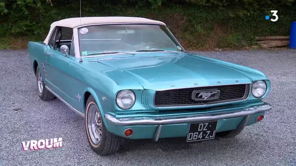 La Ford Mustang est à l'affiche de Vroum, le mag des collectionneurs de voitures anciennes