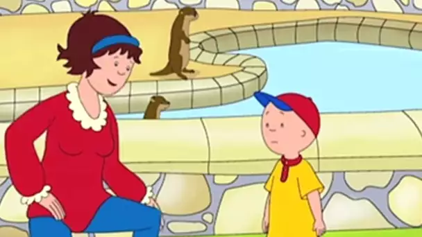 Caillou en Français - Caillou et les Loutres | dessin animé | conte pour enfant