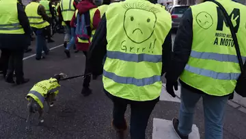 Gilets Jaunes : 20 images drôles et insolites de la mobilisation.