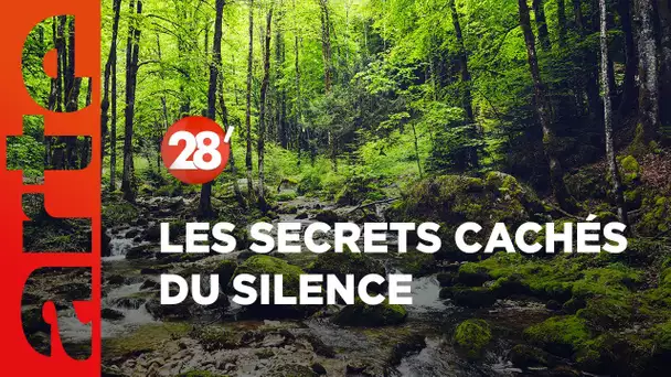 Jérôme Sueur, les secrets cachés du silence - 28 Minutes - ARTE