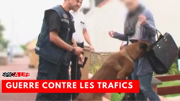 Guerre contre les trafics : ils lancent les chiens