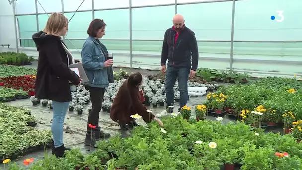 Tarn : une entreprise se lance dans la création de jardins d'intérieur