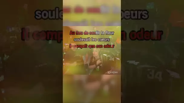 JE SUIS LE PORC