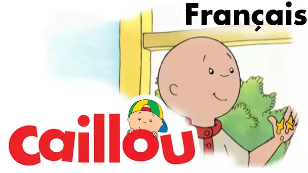 Caillou FRANÇAIS - Les couleurs de Caillou  (S01E32) | conte pour enfant | Caillou en Français