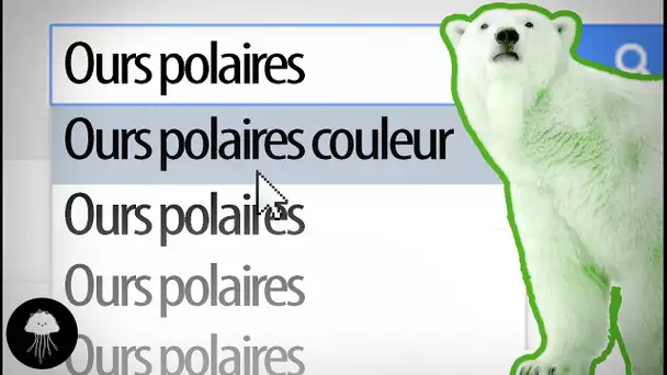 Les ours blancs vont-ils changer de couleur ? - Ctrl+F #3