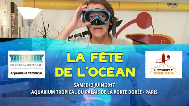 Venez fêter l'océan le 3 juin avec l'Esprit Sorcier !