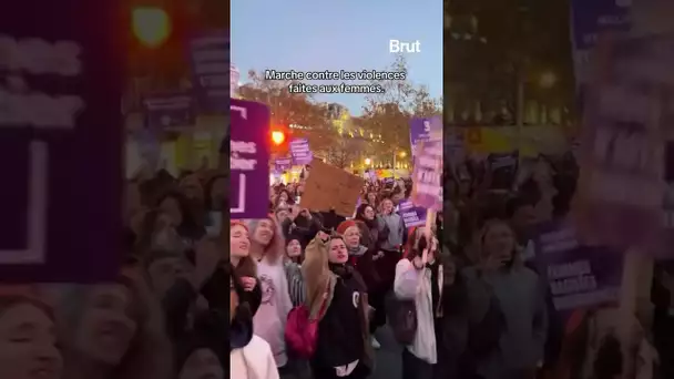 Marche contre les violences faites aux femmes : plusieurs dizaines de milliers de personnes à Paris