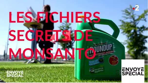 Envoyé spécial. Les fichiers secrets de Monsanto - 16 mai 2019 (France 2)