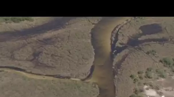 Botswana, delta de l'Okavango : graphisme de la rivière 1/2