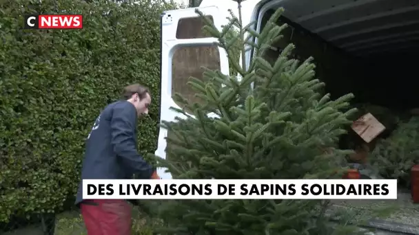 Noël : des sapins solidaires livrés à domicile