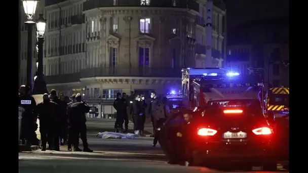 Morts sur le Pont-Neuf à Paris : Le policier auteur des tirs mis en examen pour homicide volontaire