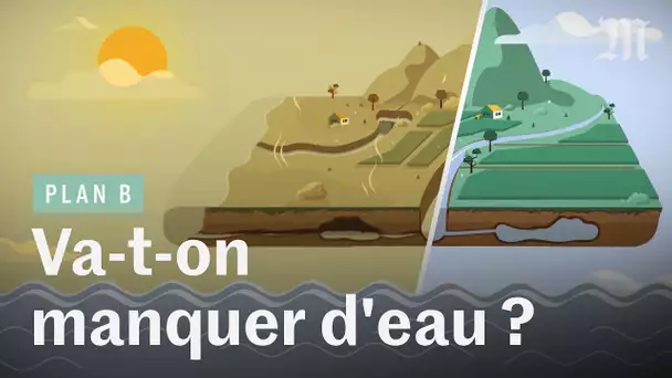 Canicule : va-t-on manquer d'eau pour nourrir la France ?