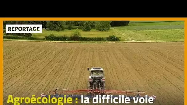 Agroécologie : la difficile voie vers le zéro pesticide