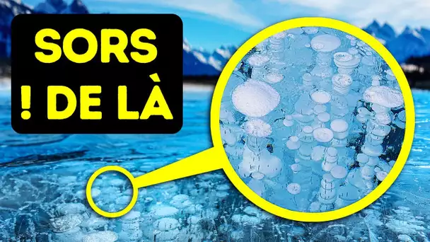 Si tu Vois des Bulles Sur un lac, tu n’as que Quelques Secondes Pour t’Echapper !