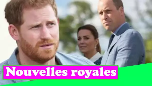 Le prince Harry " irréfléchi " détourne l'attention de la famille royale " anxieux " à propos du liv