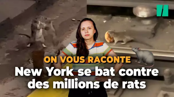 New York est en train de gagner sa guerre contre les rats (en les gazant)