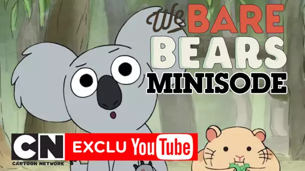Nom Nom contre le hamster | Minisode We Bare Bears | Cartoon Network
