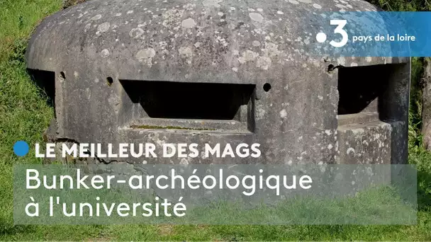 Le meilleur des Mags : Bunker-archéologique à l'université