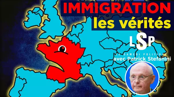 Immigration : Ces réalités qu'on nous cache - Patrick Stefanini dans Le Samedi Politique