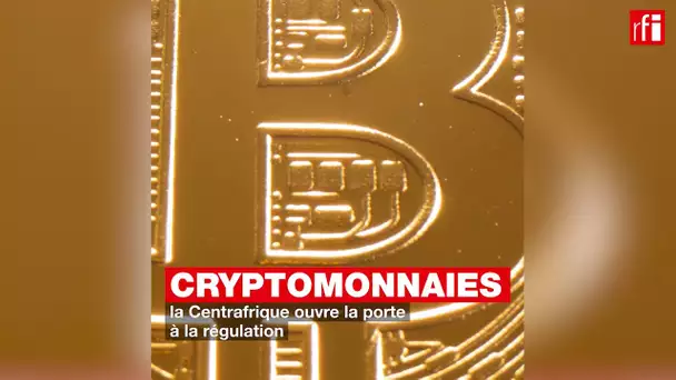Les cryptomonnaies en Centrafrique • RFI