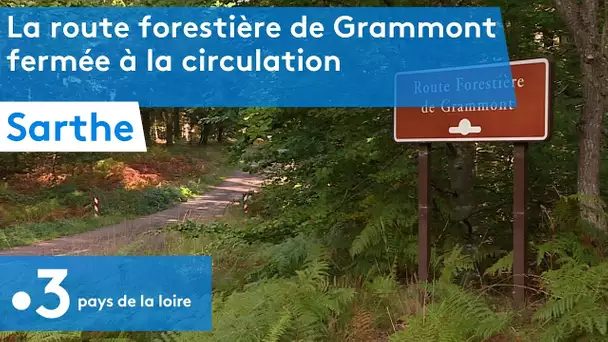 Sarthe : La route forestière de Grammont fermée à la circulation