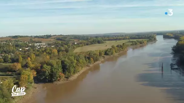 Cap Sud Ouest: Entre Deux Mers, la renaturation de l'île de Raymond (extrait)