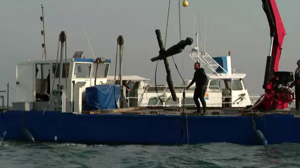 Bleue Occitanie sur les traces de navires Génois dans la baie d'Aigues-Mortes