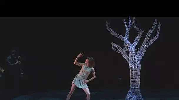 Dernière danse pour Sylvie Guillem : interview avec la 'ballerine absolue' - musica