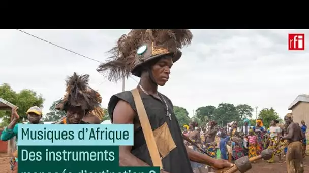 Musiques d'Afrique : des instruments menacés d'extinction ? • RFI