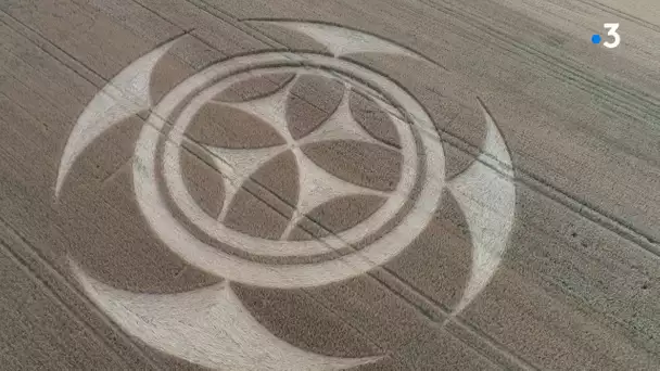 Un mystérieux motif géant (crop circle) dans un champ de Vimy attire de nombreux curieux