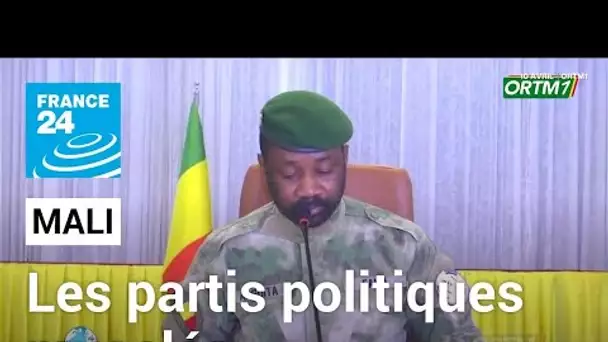 L'autorité malienne suspend les activités des partis et associations politiques • FRANCE 24