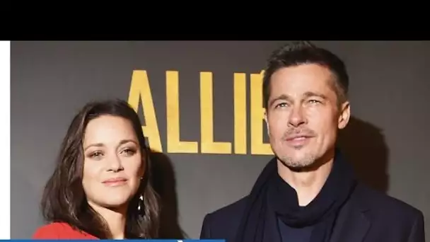 ALLIÉS - Avant-première à Paris (avec Brad Pitt & Marion Cotillard) - les réactions du public