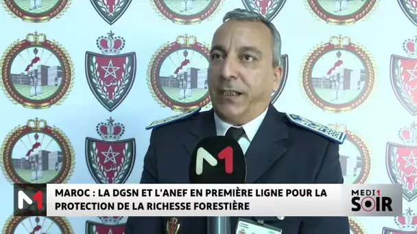 Maroc : la DGSN et l’ANEF en première ligne pour la protection de la richesse forestière