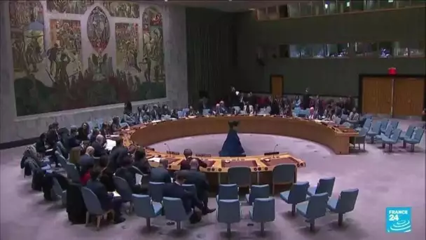 Projet de résolution au Conseil de sécurité de l'ONU pour condamner les colonies israéliennes