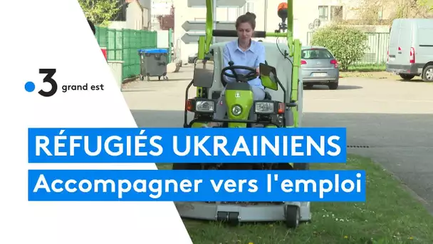 Réfugiés ukrainiens : soutenir la recherche d'emploi