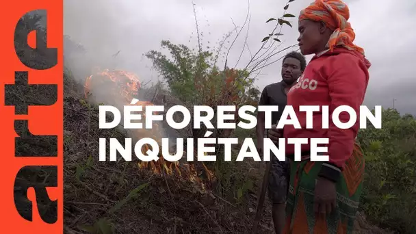 Madagascar : terre de feu | ARTE Reportage