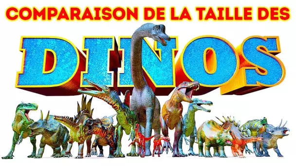 Comparaison Entre La Taille du Plus Grand et du Plus Petit Dinosaure