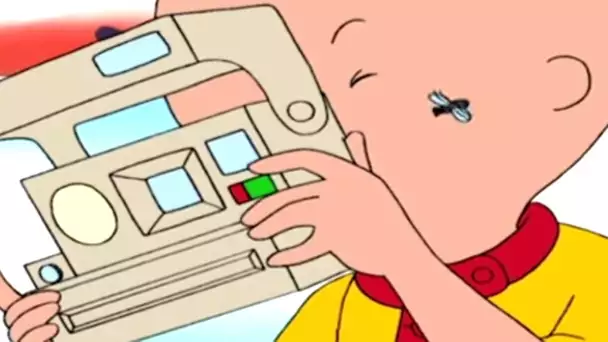 Caillou en Français | Caillou le Photographe | dessin animé | NOUVEL ÉPISODE HD