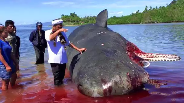 12 CHOSES ÉTRANGES TROUVÉES SUR LA PLAGE !