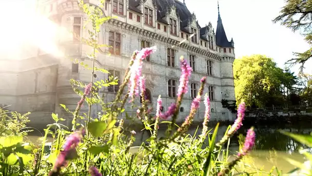 Les secrets des châteaux de la Loire