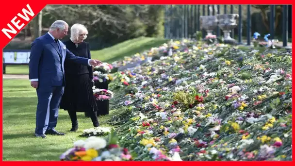 ✅  Prince Charles : cette photo touchante envoyée à ses sympathisants en hommage au prince Philip
