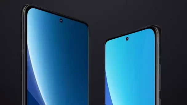 Xiaomi 12 et Xiaomi 12 Pro dévoilés par des images officielles