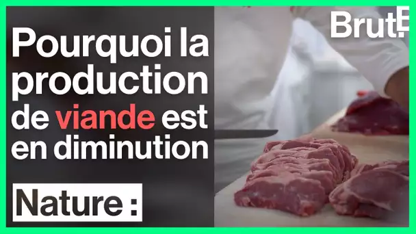 Une baisse inédite de la production de viande mondiale