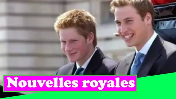 Le doux jeu d'enfance du prince William et du prince Harry mis à nu - "S'amuser un peu"