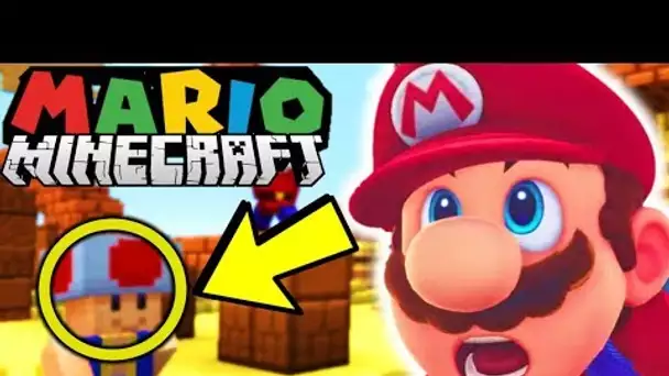 UN ABONNE DE 14 ANS A RECREE SUPER MARIO DANS MINECRAFT !