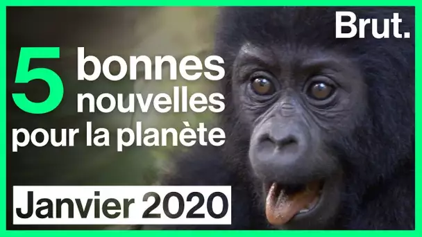 5 bonnes nouvelles en janvier 2020