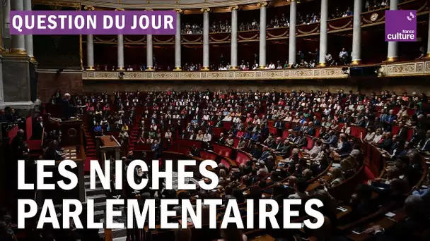 À quoi servent les niches parlementaires ?