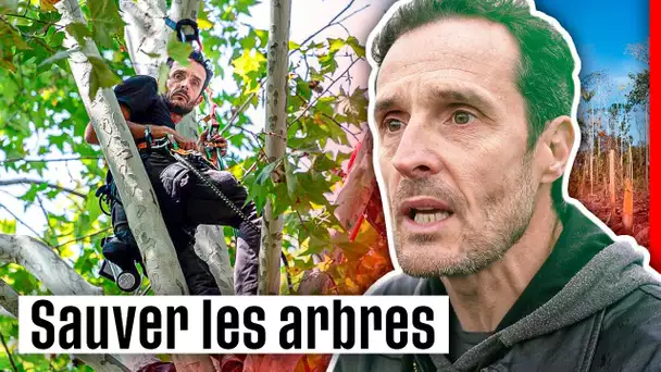 Militants pour les arbres